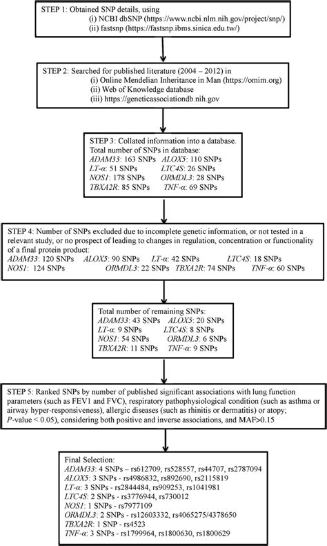 Selection Of Single Nucleotide Polymorphisms Snps Flow Chart Download Scientific Diagram