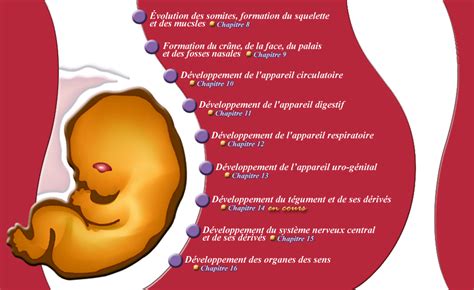 Organogen Se Sommairem