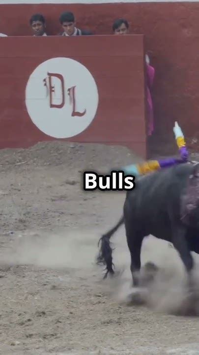 5 furarchiver Myths Debunked - q5vx6ma