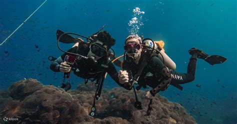 Expérience de plongée sous marine Nava à Koh Tao Klook États Unis