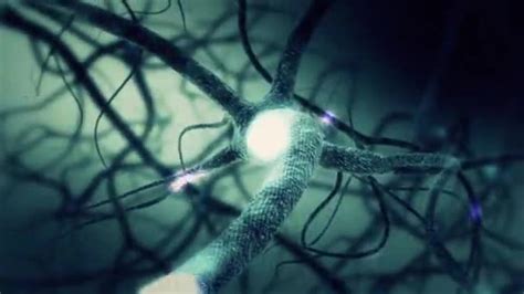 Neuron Synapse Animation