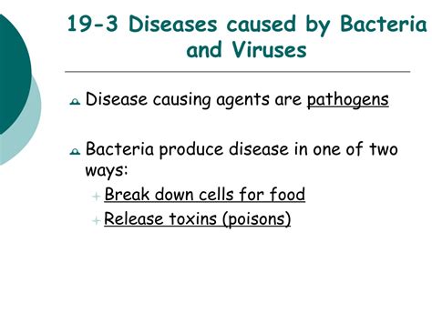 Ppt Chapter 19 Bacteria And Viruses Powerpoint Presentation Free Download Id9314057