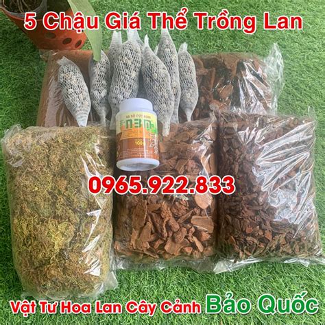 Mua Giá Thể Trồng Lan 5 Chậu Đã Xử Lý Vỏ Thông Phân Dê Rêu Sơ Dừa Kích Rễ Cực Mạnh Giá