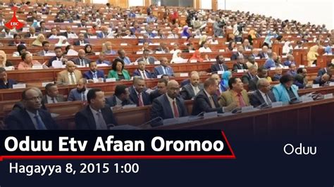 Oduu Etv Afaan Oromoo Hagayya 8 2015 100 Youtube