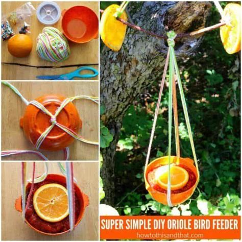 20 DIY Oriole Feeder Plans For Garden - Craftsy