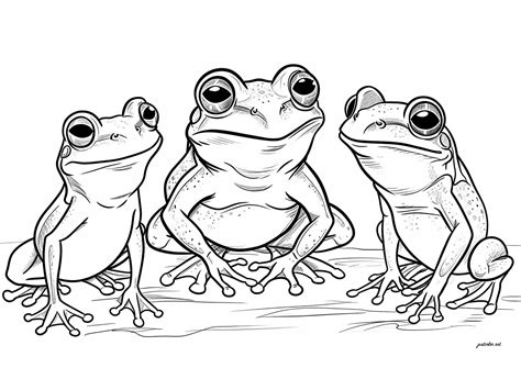 Three pretty frogs - Frog Coloring Pages