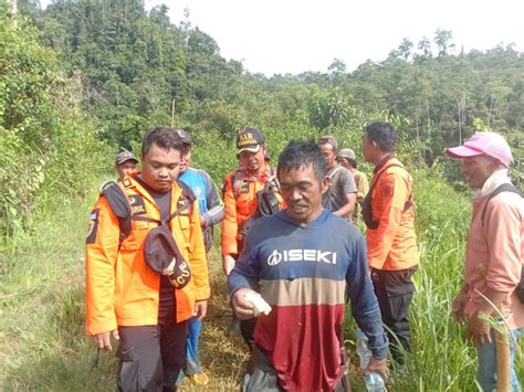 Hilang Hari Saat Cari Daun Rotan Di Hutan Warga Kolut Ditemukan