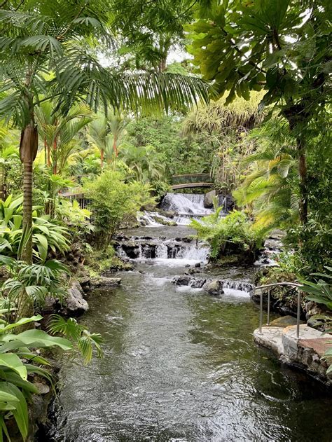 Natural Hot Springs Costa Rica