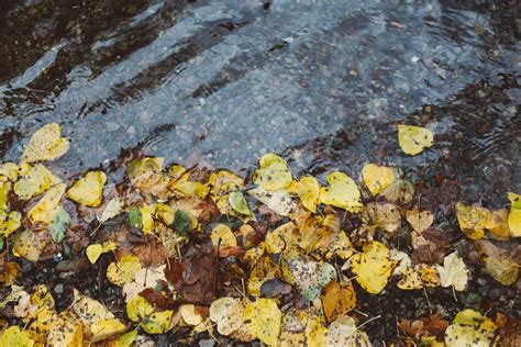 7 Essential Tips For Hiking Mossbrae Falls Map Photos