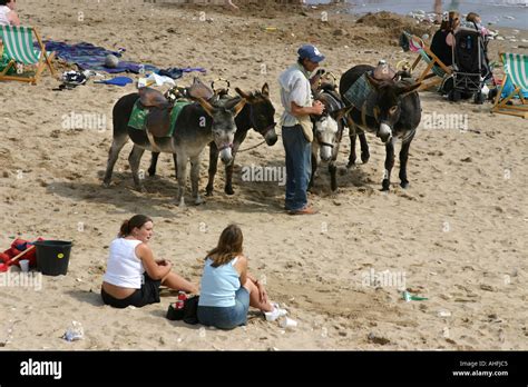 Donkey Owner Hi Res Stock Photography And Images Alamy