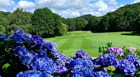 Home [www.herefordshiregolfclub.co.uk]