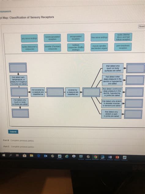 Solved Homework Pt Map Classification Of Sensory Receptors Chegg