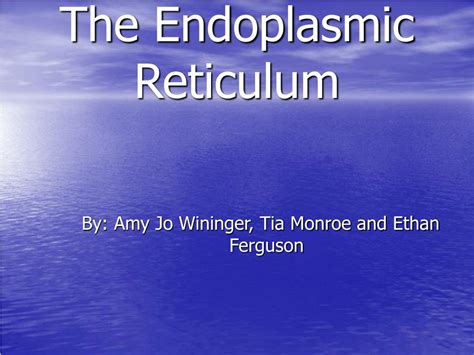 Ppt The Endoplasmic Reticulum Powerpoint Presentation Free Download Id 649840