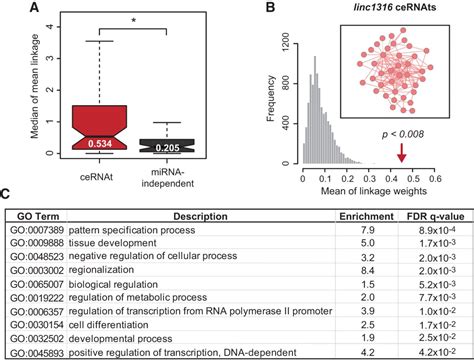 Extensive Microrna Mediated Crosstalk Between Lncrnas And Mrnas In