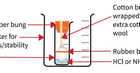 Demonstrating The Diffusion Of Ammonia And Hydrogen Chloride