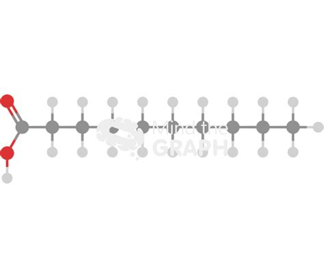 Saturated fatty acid molecule