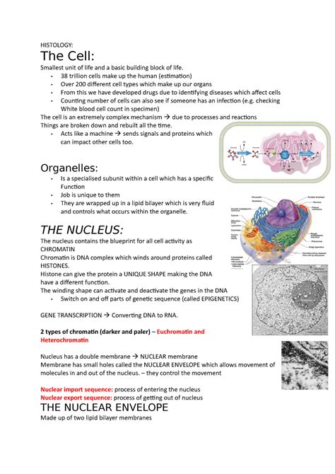 Week 7 Introduction To Cells Tissues And Histology Histology