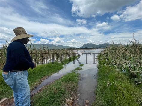 Desbordamiento Del R O Lerma Deja Sin Ma Z A La Zona Norte Del Edomex