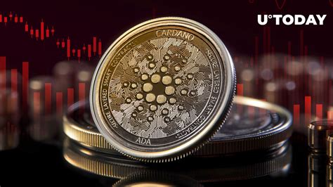 Of Cardano Ada Holders In Losses What Might Salvage Situation