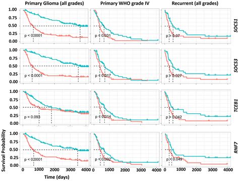 Identification Of A Cullin Ring E Ligase Transcriptome Signature In