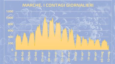 Coronavirus 11 Maggio 2021 Marche Bollettino Covid Oggi Contagi