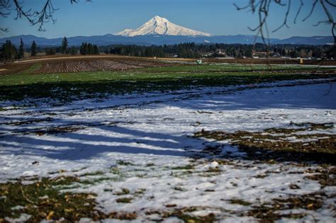 More snow? These Oregon cities might get more overnight - oregonlive.com