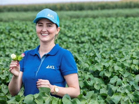 ICL lança tecnologia exclusiva em tratamento industrial de sementes