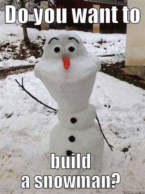 1000+ images about Snowman Memes on Pinterest | Olaf pumpkin, Funny ...