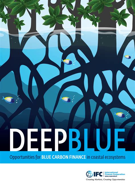 Deep Blue Opportunities For Blue Carbon Finance In Coastal Ecosystems