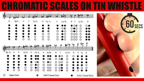 Recorder Chromatic Fingering Chart