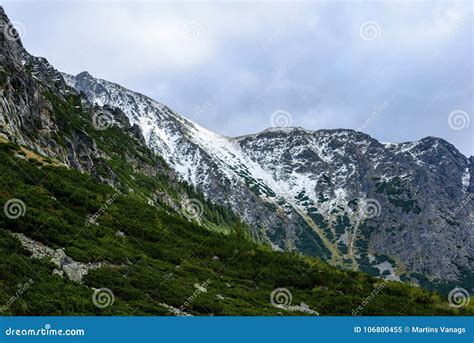 Montanhas Carpathian Eslovacas No Outono Montes Verdes Partes