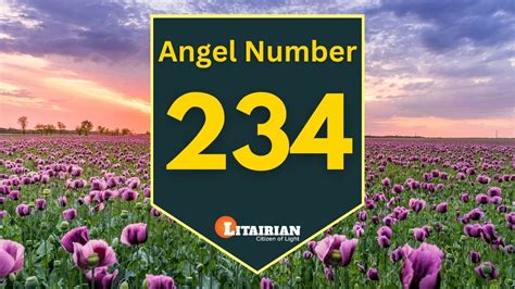 Angel Number 234 Promises Success