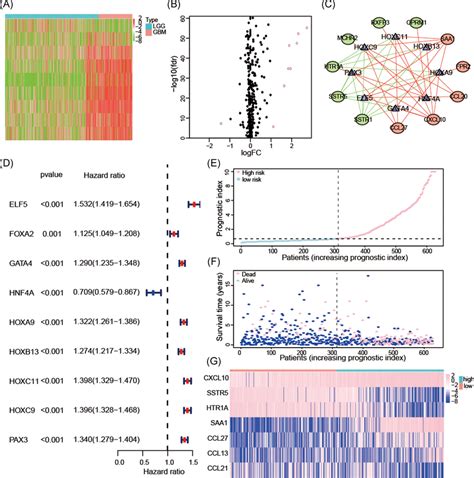 Establishment Of Tfsirgs Regulatory Networks And Construction Of