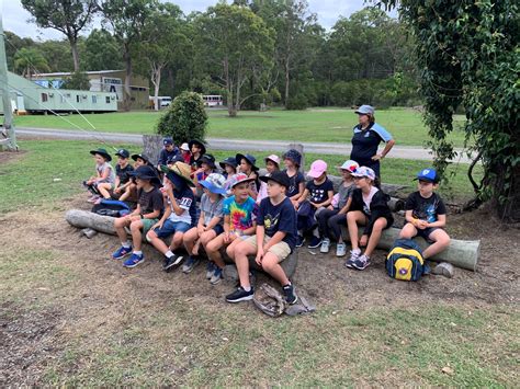 Year 3 Great Aussie Bush Camp Tea Gardens Scas News