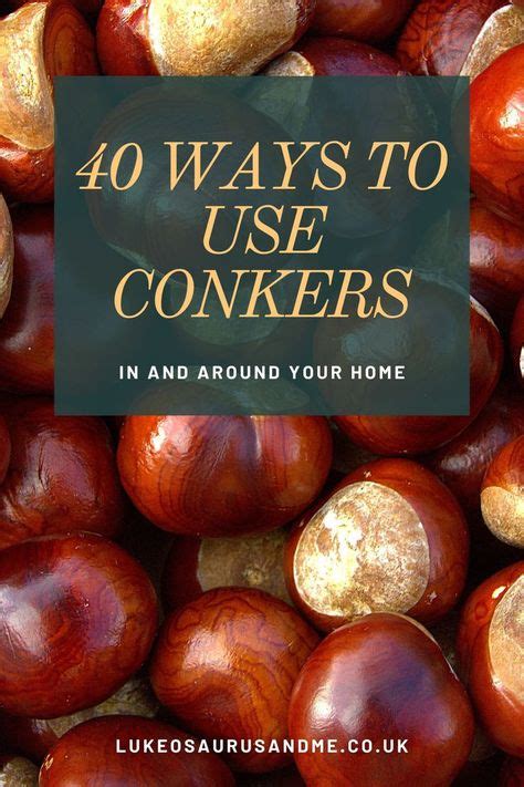 A close up of a bunch of conkers with the title "40 Ways To Use Conkers" written in orange text ...