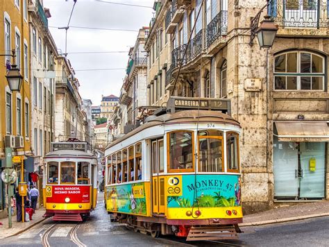 Guía De Los 【 Postres Típicos De Portugal 】 Salud For You