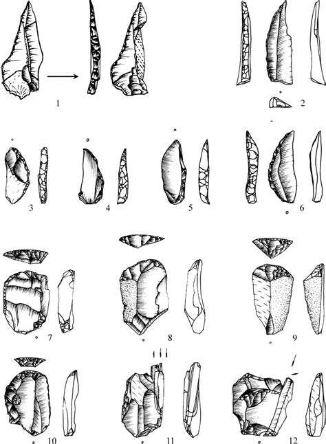 Lithic tools from Rogalinek 1 (1) and Święty Wojciech 7 (2-12): 1-6 ...