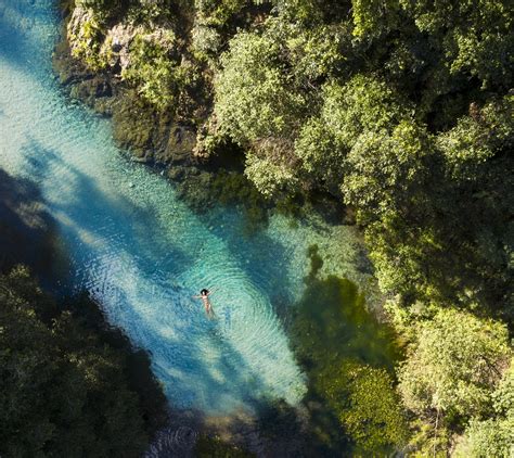 queensland  dos conondale national park queensland property experts