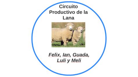 Circuito Productivo De La Lana By Ian P On Prezi