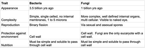 Fungi vs. Bacteria – Velocity Green