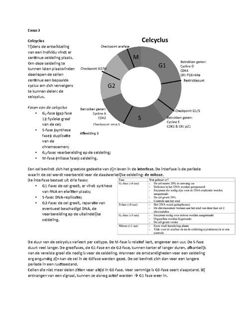 Casus 3 Slim Acadamy Casus 3 Celcyclus Tijdens De Ontwikkeling Van