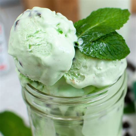 Best Mint Chocolate Chip Ice Cream Mason Jar Recipe