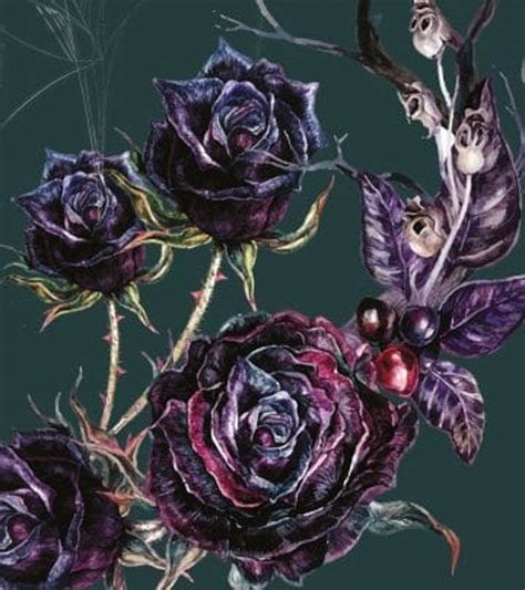 Coffin Boffin On Twitter Wild Flower Folklore Thread Wild Roses Are