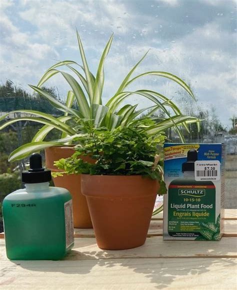 Give your tropical plants a boost with liquid plant food! Currently ...