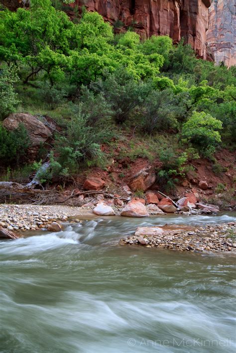 The Virgin River, Zion National Park - Anne McKinnell Photography