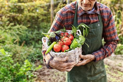 How To Preserve Your Garden Harvest Top Techniques For Post Harvest Processing