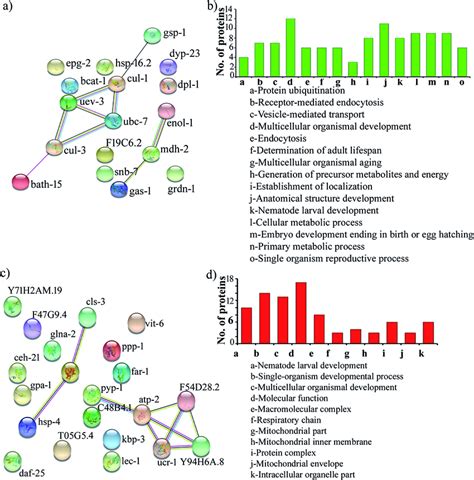 Protein Protein Interaction Networks And Gene Ontology Of The