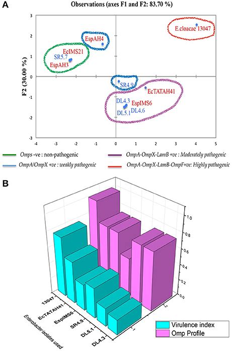 Frontiers Antibiotic Resistance Profile Outer Membrane Proteins