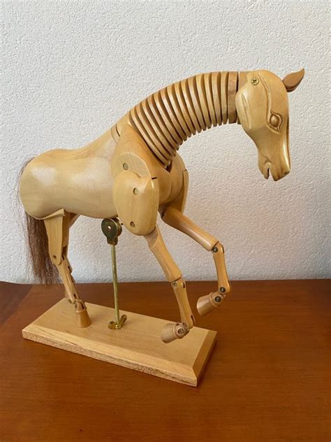 Anatomisch Tekenmodel Paard Hout Catawiki