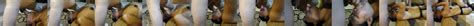 Checker Kynu Net Free Checkers Porn Video Ee XHamster XHamster